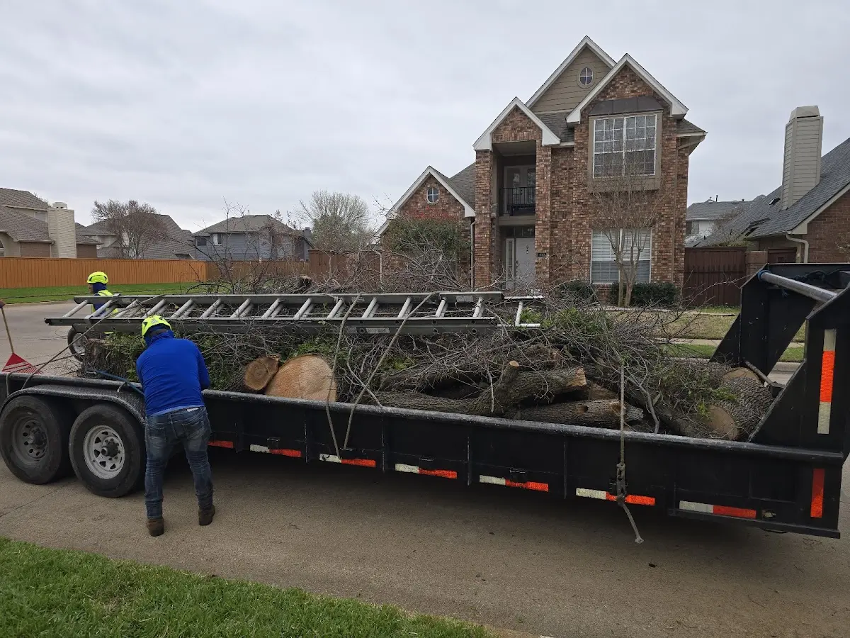 Expert Tree Removal with proper safety equipment in Halfway
